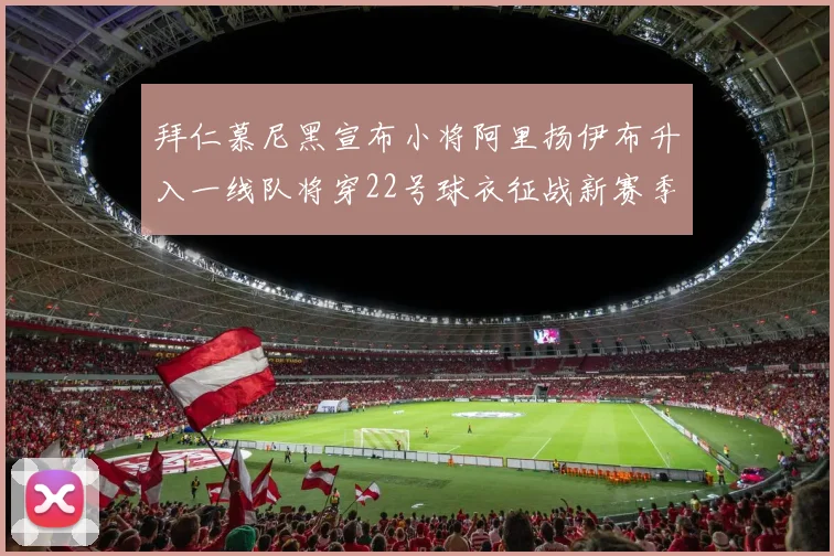 拜仁慕尼黑宣布小将阿里扬伊布升入一线队将穿22号球衣征战新赛季